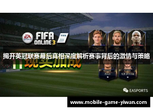揭开英冠联赛幕后真相深度解析赛事背后的激情与策略