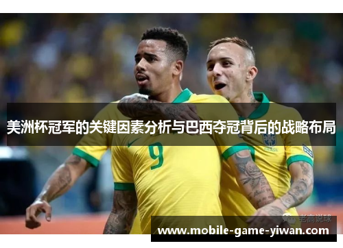 美洲杯冠军的关键因素分析与巴西夺冠背后的战略布局