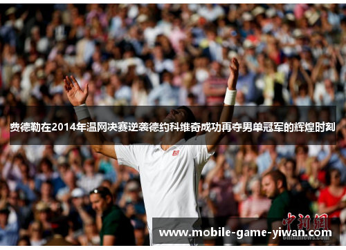 费德勒在2014年温网决赛逆袭德约科维奇成功再夺男单冠军的辉煌时刻