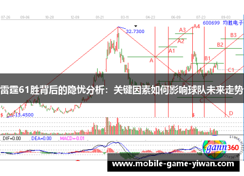 雷霆61胜背后的隐忧分析：关键因素如何影响球队未来走势