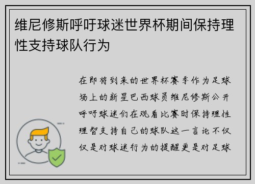 维尼修斯呼吁球迷世界杯期间保持理性支持球队行为